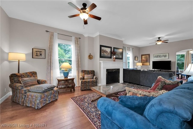 living area with ceiling fan, healthy amount of natural light, a fireplace, and hardwood / wood-style flooring