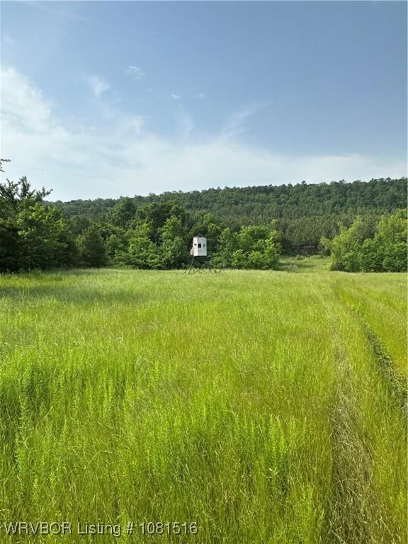 28574 Pocahontas Rd, Wister, OK 74966 - photo 37