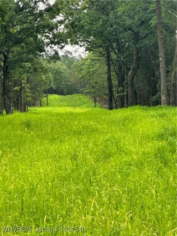 28574 Pocahontas Rd, Wister, OK 74966 - photo 39