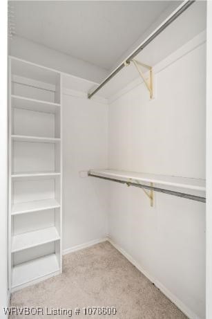 walk in closet with light colored carpet