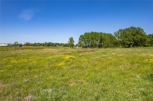 20310 290th St, Poteau, OK 74953 - photo 4
