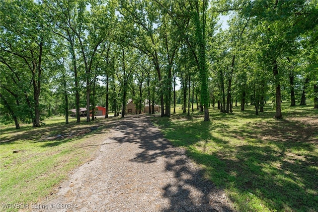 view of road with driveway