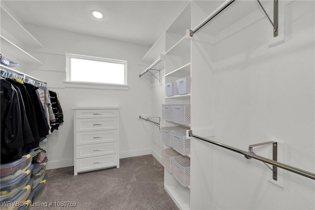 9100 Kirkwood Rd, Fort Smith, AR 72916 - walk in closet with dark carpet