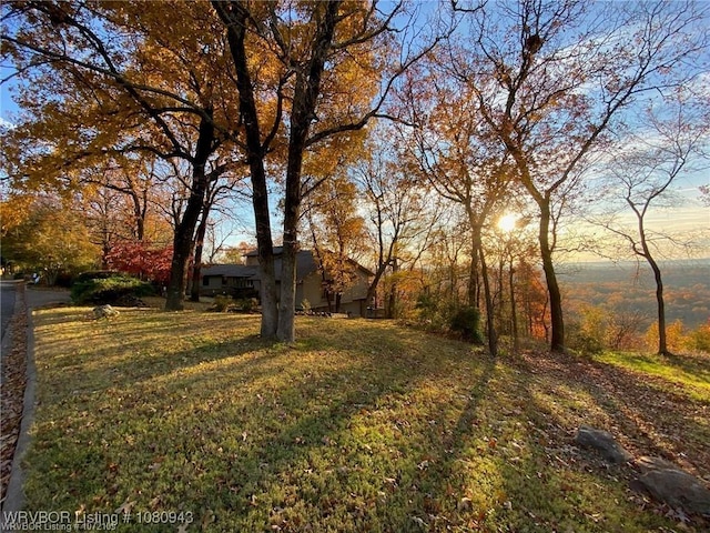 10301 Stoneleige St, Fort Smith, AR 72908 - view of grassy yard