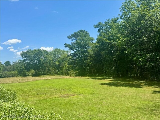 4018 Blue Hole Rd, Rudy, AR 72952 - view of green lawn with a view of trees