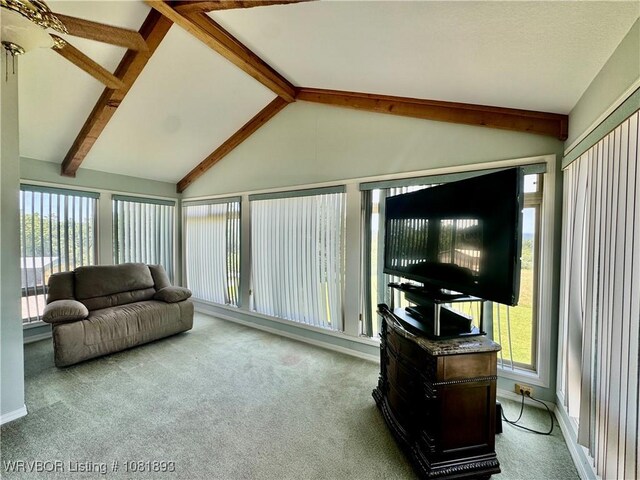 4018 Blue Hole Rd, Rudy, AR 72952 - living room featuring carpet