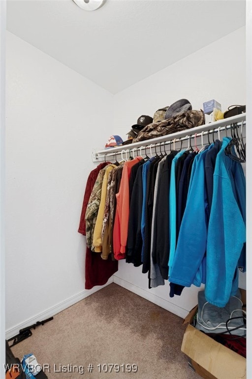 spacious closet featuring carpet floors