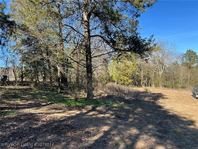 Listing photo 3 for 4ACRES Rollin Hills Ln, Ozark AR 72949