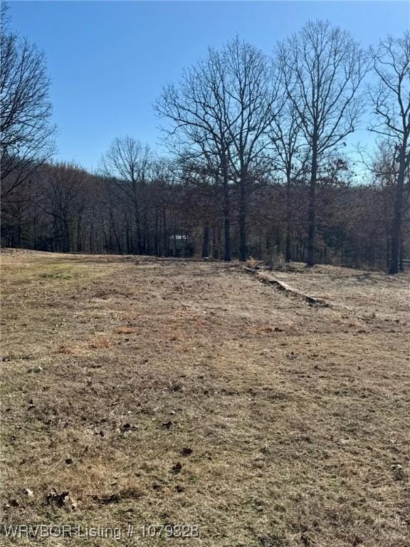 view of nature featuring a wooded view