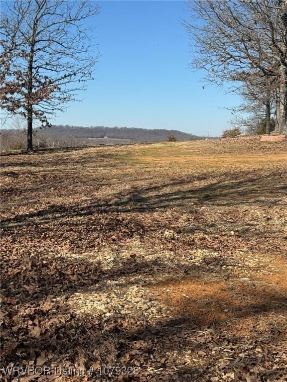 view of local wilderness with a rural view