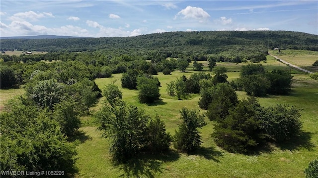 TBD S Cooper Bend E Road, Kinta, OK 74552
