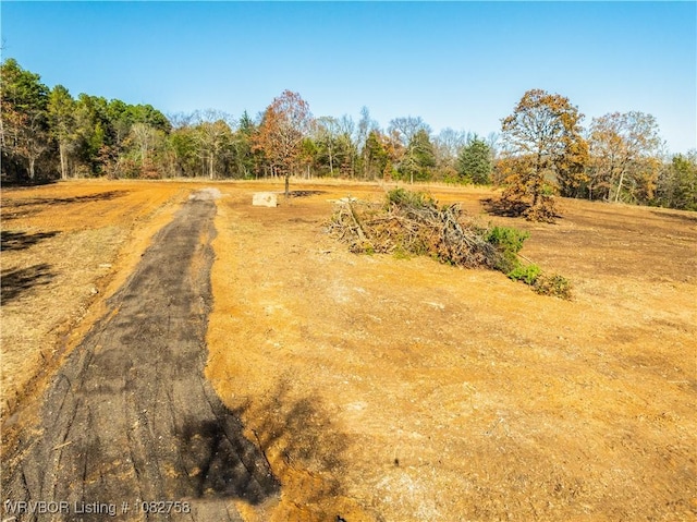 TBD Boot Hill Trl, Cedarville, AR 72932 - photo 3