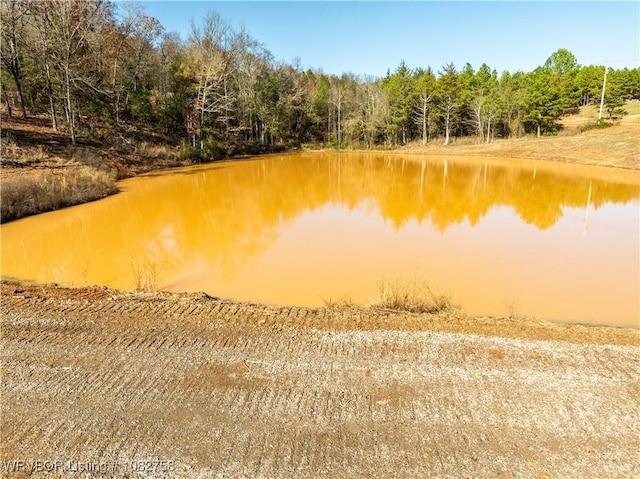 TBD Boot Hill Trl, Cedarville, AR 72932 - photo 23