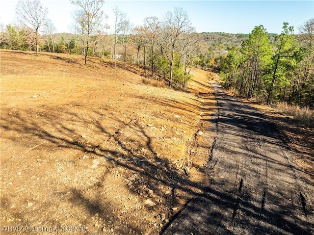 TBD Boot Hill Trl, Cedarville, AR 72932 - photo 21