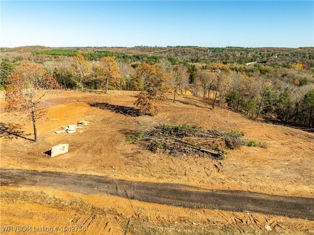 TBD Boot Hill Trl, Cedarville, AR 72932 - photo 4