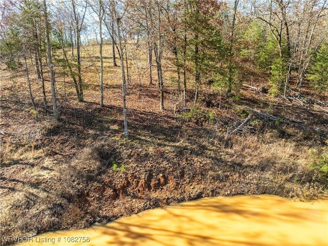 TBD Boot Hill Trl, Cedarville, AR 72932 - photo 24