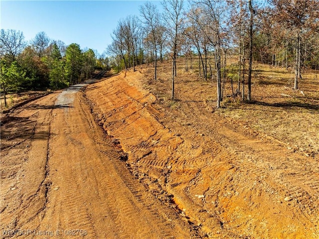 TBD Boot Hill Trl, Cedarville, AR 72932 - photo 18