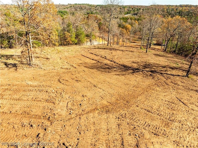 TBD Boot Hill Trl, Cedarville, AR 72932 - photo 5
