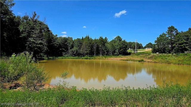 TBD Boot Hill Trl, Cedarville, AR 72932 - photo 1