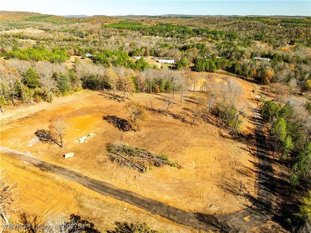 TBD Boot Hill Trl, Cedarville, AR 72932 - photo 17