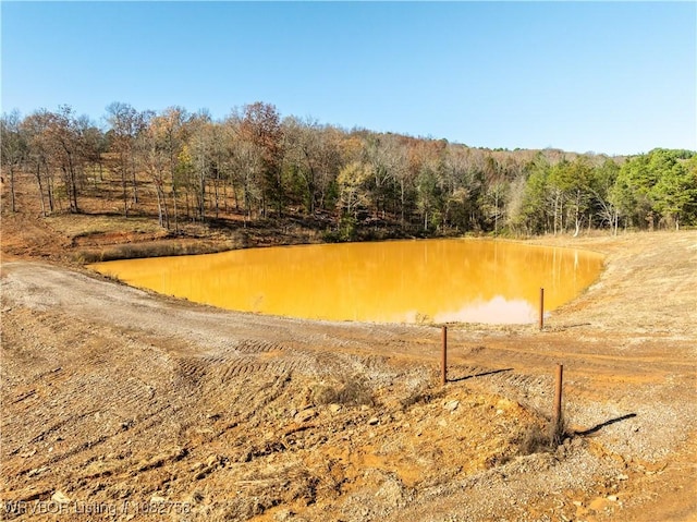 TBD Boot Hill Trl, Cedarville, AR 72932 - photo 9