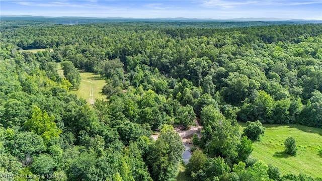 01 Yeaman Ln, Mount Ida, AR 71957 - photo 14