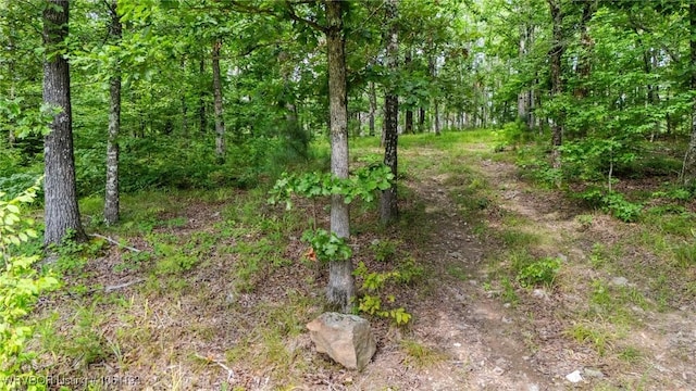 01 Yeaman Ln, Mount Ida, AR 71957 - photo 5