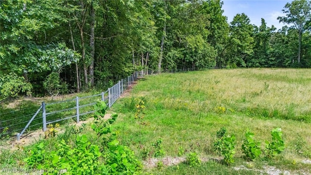 01 Yeaman Ln, Mount Ida, AR 71957 - photo 44