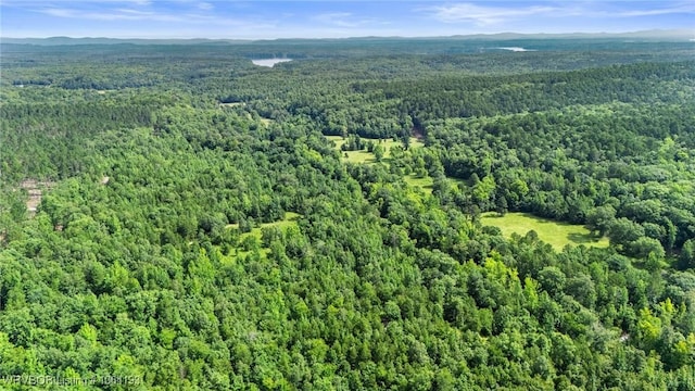 01 Yeaman Ln, Mount Ida, AR 71957 - photo 36