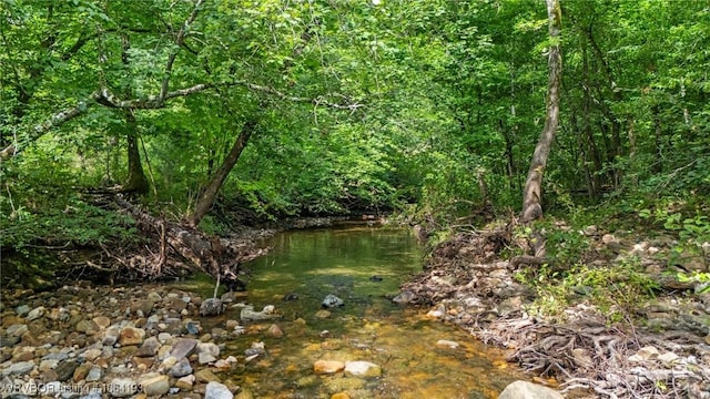 01 Yeaman Ln, Mount Ida, AR 71957 - photo 49
