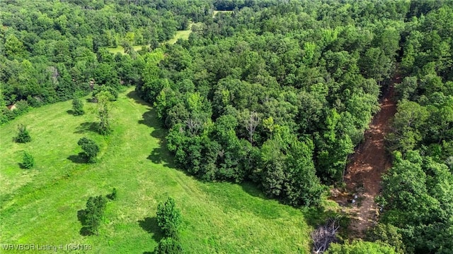 01 Yeaman Ln, Mount Ida, AR 71957 - photo 35