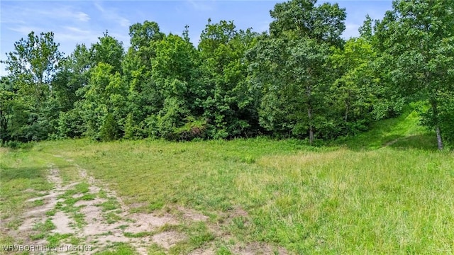 01 Yeaman Ln, Mount Ida, AR 71957 - photo 55