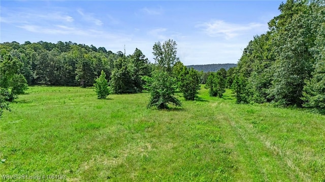01 Yeaman Ln, Mount Ida, AR 71957 - photo 13