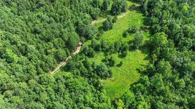 01 Yeaman Ln, Mount Ida, AR 71957 - photo 39