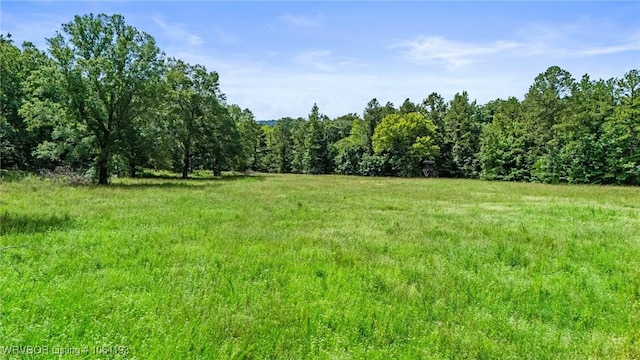 01 Yeaman Ln, Mount Ida, AR 71957 - photo 8