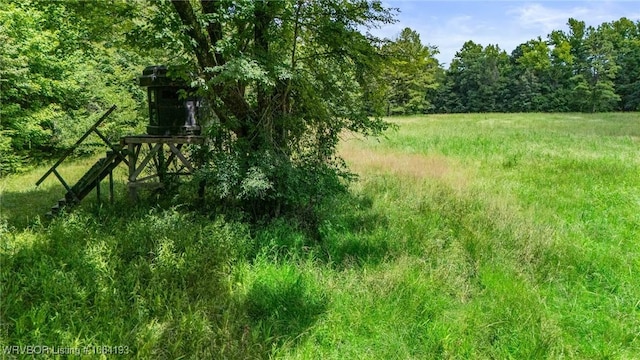 01 Yeaman Ln, Mount Ida, AR 71957 - photo 16