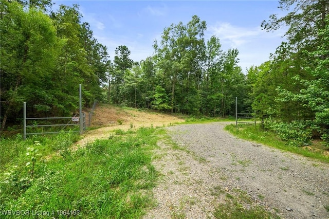 01 Yeaman Ln, Mount Ida, AR 71957 - photo 9