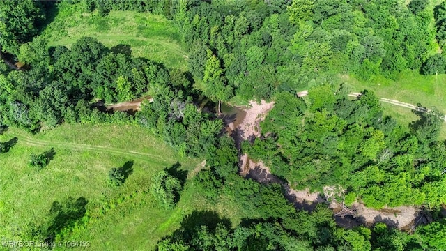 01 Yeaman Ln, Mount Ida, AR 71957 - photo 34