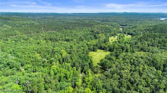 01 Yeaman Ln, Mount Ida, AR 71957 - photo 43