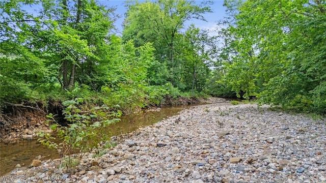 01 Yeaman Ln, Mount Ida, AR 71957 - photo 10