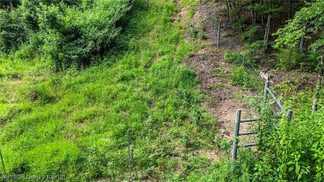 01 Yeaman Ln, Mount Ida, AR 71957 - photo 51