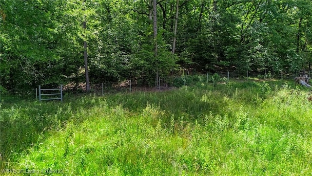 01 Yeaman Ln, Mount Ida, AR 71957 - photo 15