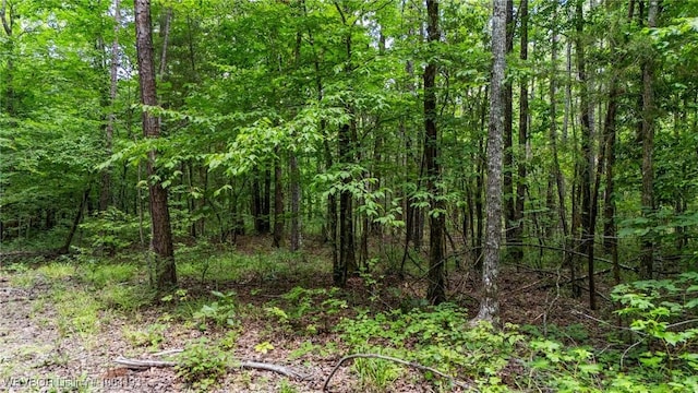 01 Yeaman Ln, Mount Ida, AR 71957 - photo 20