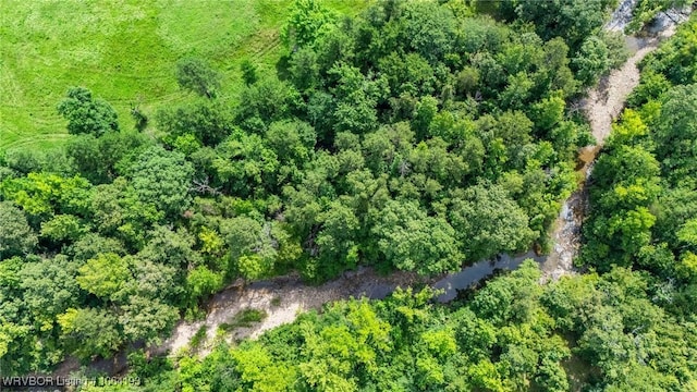 01 Yeaman Ln, Mount Ida, AR 71957 - photo 41