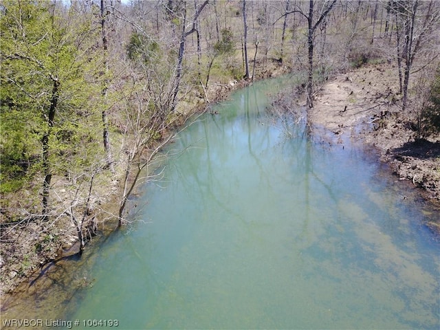 01 Yeaman Ln, Mount Ida, AR 71957 - photo 4
