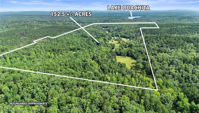 01 Yeaman Ln, Mount Ida, AR 71957 - photo 25