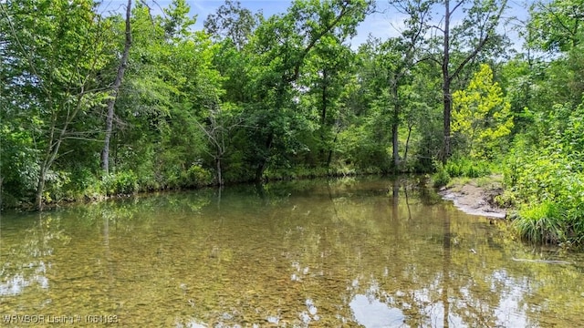 01 Yeaman Ln, Mount Ida, AR 71957 - photo 50