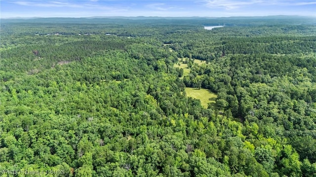 01 Yeaman Ln, Mount Ida, AR 71957 - photo 42