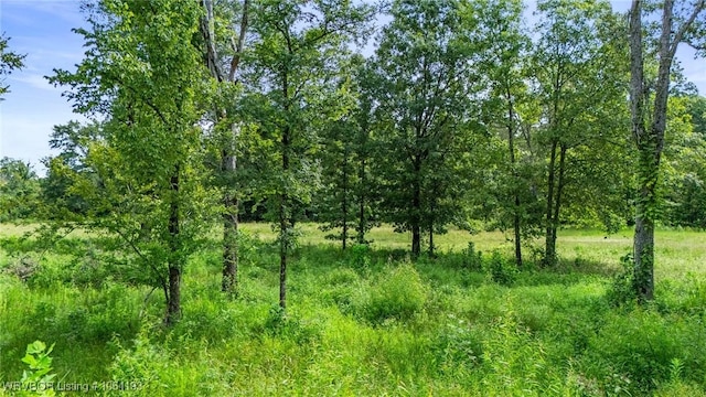 01 Yeaman Ln, Mount Ida, AR 71957 - photo 54