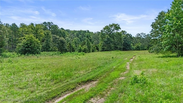 01 Yeaman Ln, Mount Ida, AR 71957 - photo 52